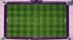 Fußballrasen mit weißer Mittellinie, Mittelkreis und Torraum